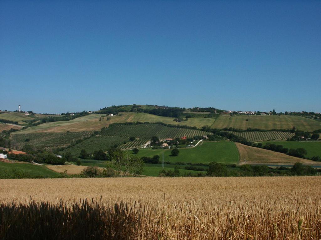 A3Passi Villa Ancona Bagian luar foto